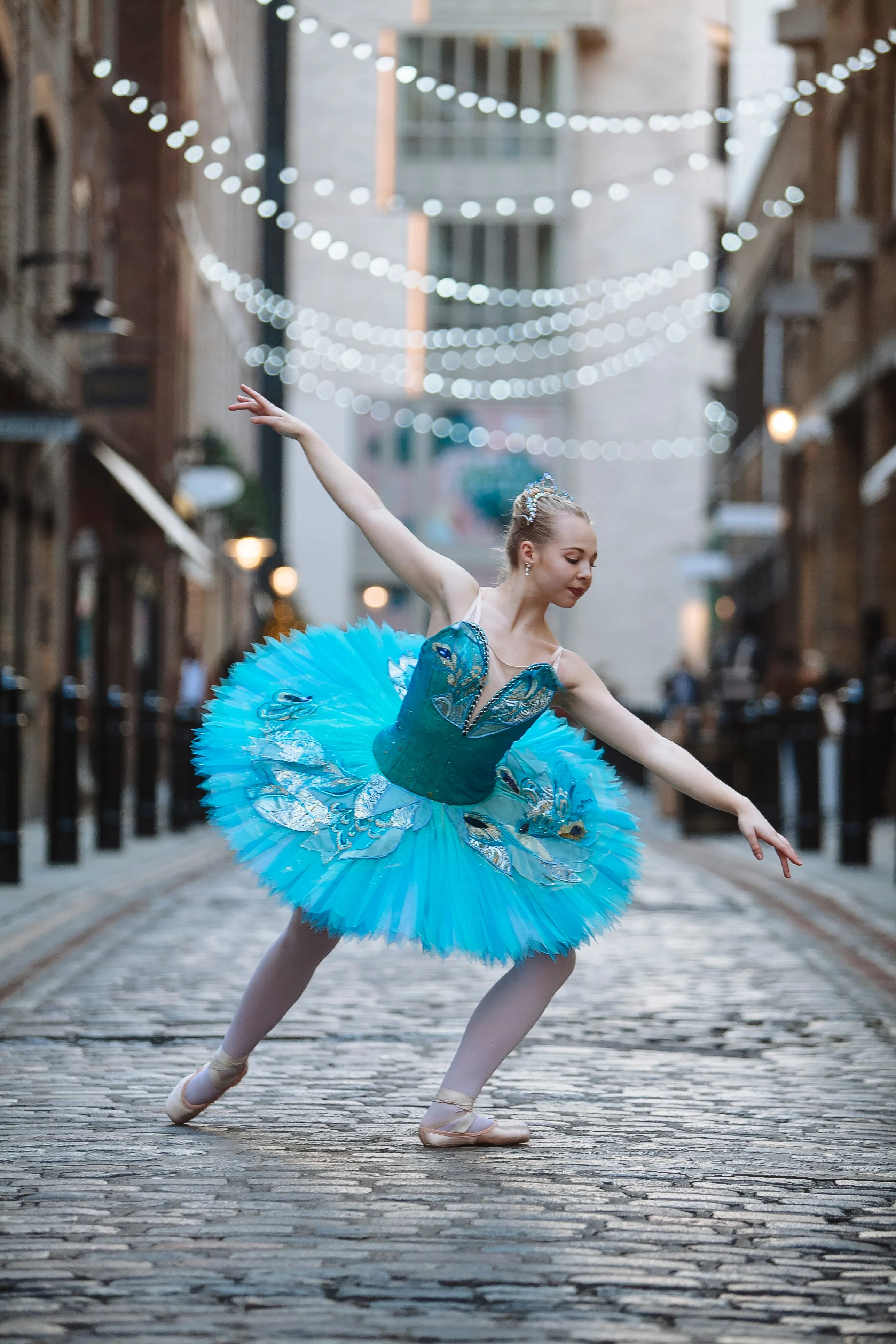 Bluebird adult tutu - Hire only